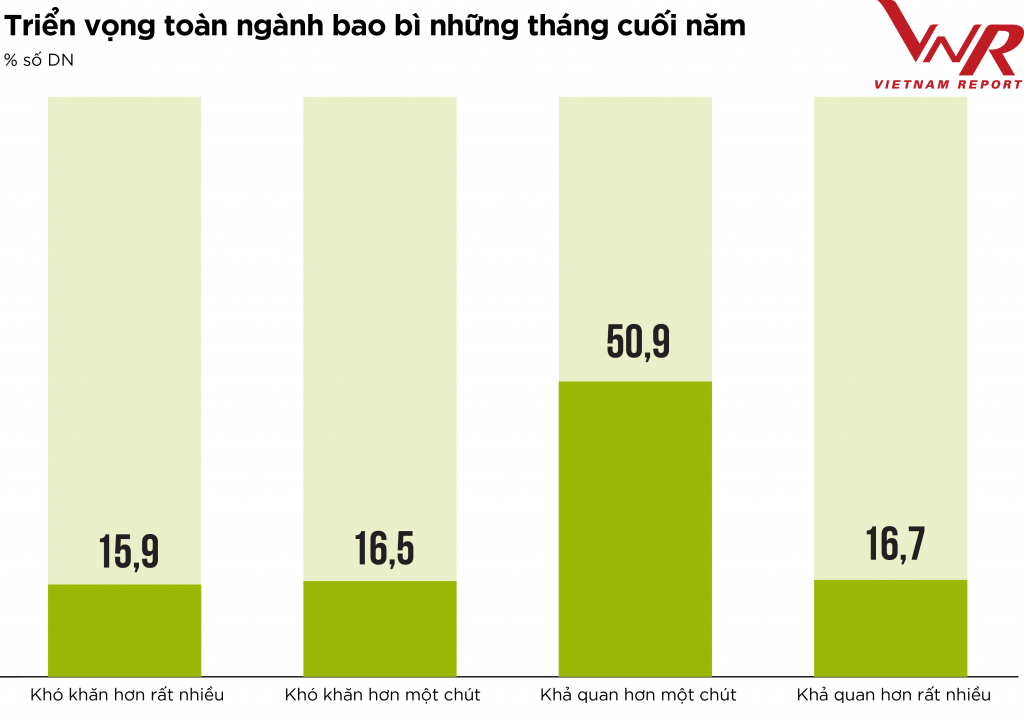 Tiềm năng tăng trưởng sáng của ngành bao bì