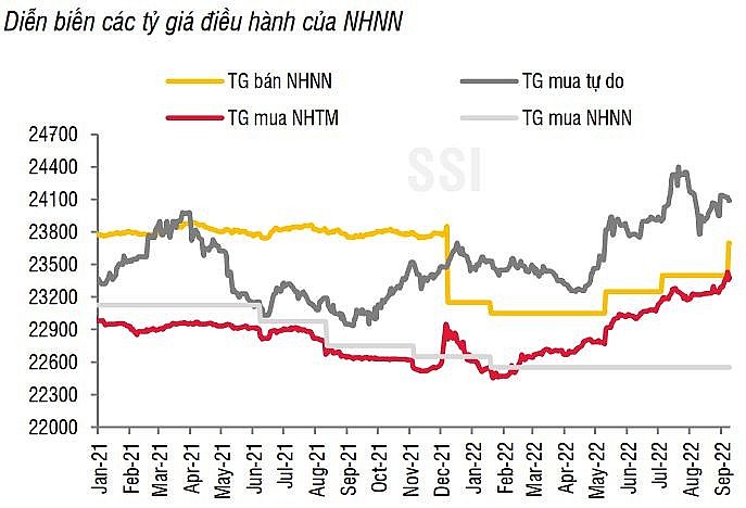 Áp lực về tỷ giá vẫn còn nhưng sẽ dịu bớt vào cuối năm