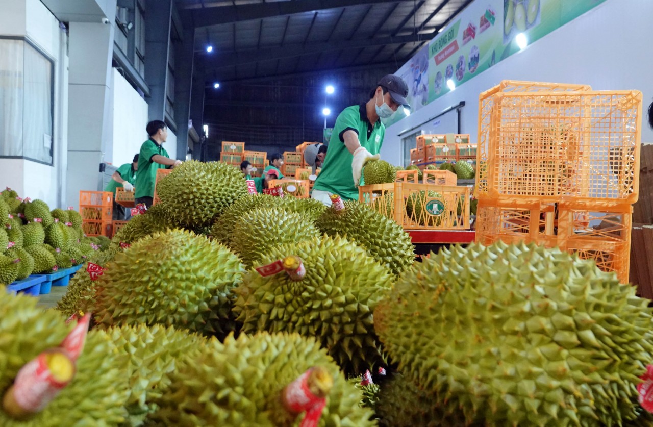 Gỡ khó cho sản xuất kinh doanh, đẩy mạnh xuất khẩu