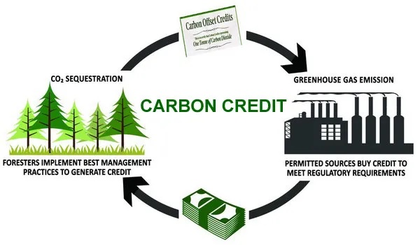 Sàn giao dịch tín chỉ carbon sẽ được Việt Nam vận hành vào năm 2028