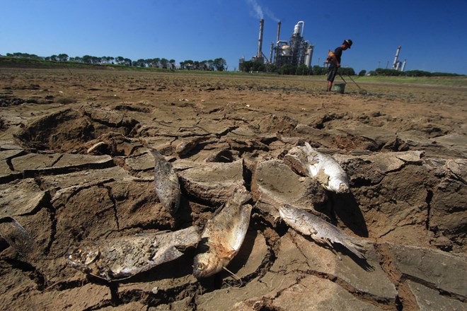 El Nino đang gây nguy cơ suy thoái kinh tế toàn cầu