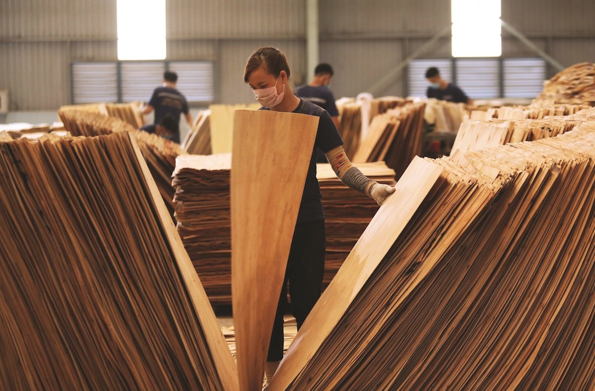 Ngành gỗ thích ứng với 'xoay chuyển' thị trường, hướng đích hơn 14 tỷ USD