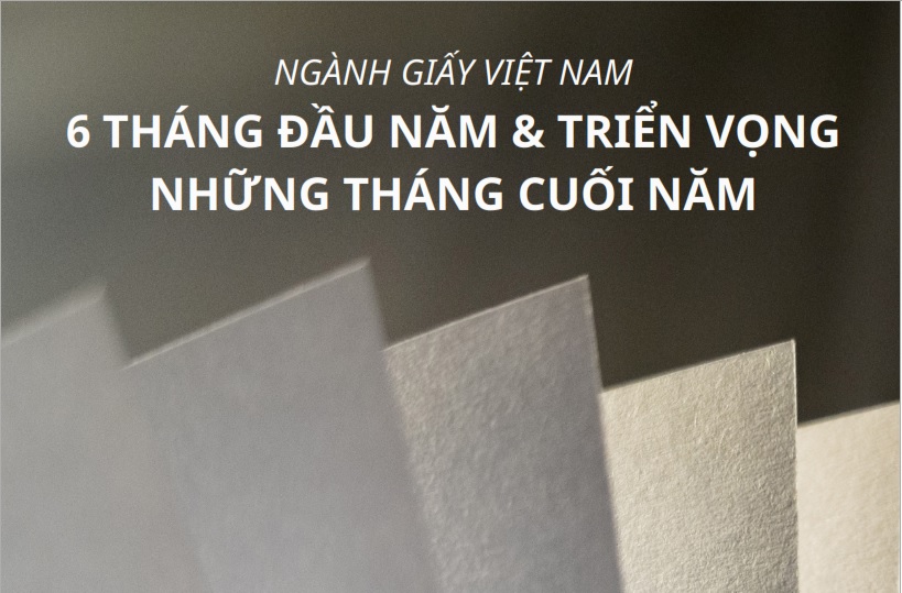 Dữ liệu ngành giấy Việt Nam 6 tháng đầu năm 2021