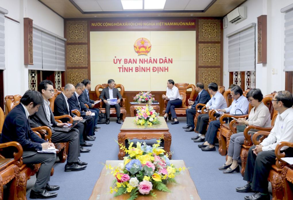 Doanh nghiệp Nhật muốn thuê 15.000 ha rừng nguyên liệu Bình Định 